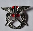  Vintage Czech Air Force Wings Aircraft Engineering Ground Branch Badge Pin  — photo 7