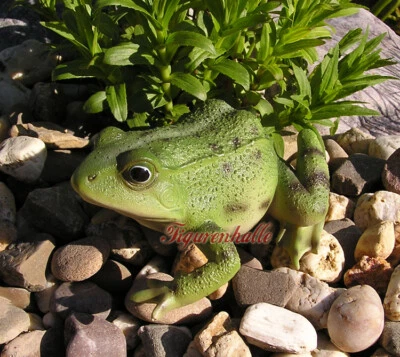 Frosch Kröte Laubfrosch lebensecht Figur Statue Skulptur Deko Gartenteich Tier - Bild 1 von 4