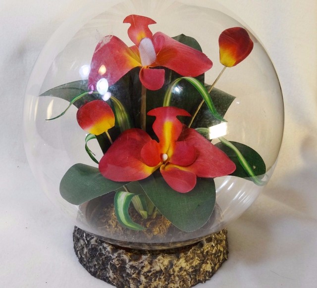 Glass Display Dome Cloche Artificial Orchid Arrangement eBay
