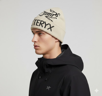 Arc'teryx Bird Word Toque Beanie Beige Knit Winter Hat NWT