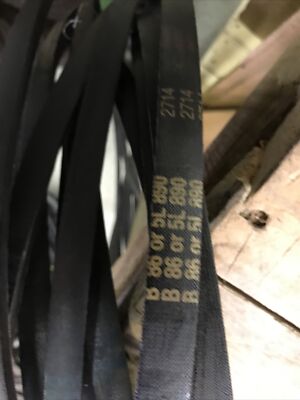 D&D B86 belt