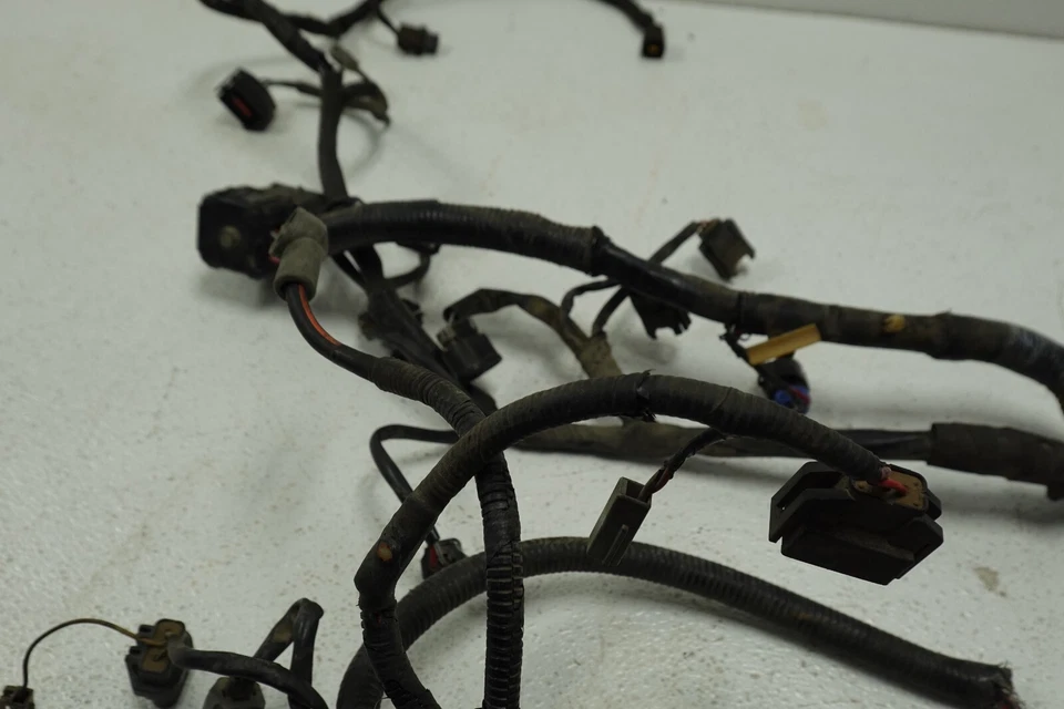 Arnés inyector Ford F-150 1996-1998 OEM con línea de suministro de riel de combustible | W3701 Foto 3 de 4