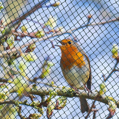 Vogelschutznetz Teichnetz Obstbaumnetz Schutznetz sehr stark viele Größen 30/15g