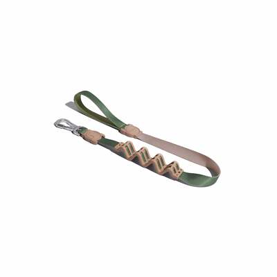 Forest Green Brown Dog Pull Shock Absorbent Ruff Leash