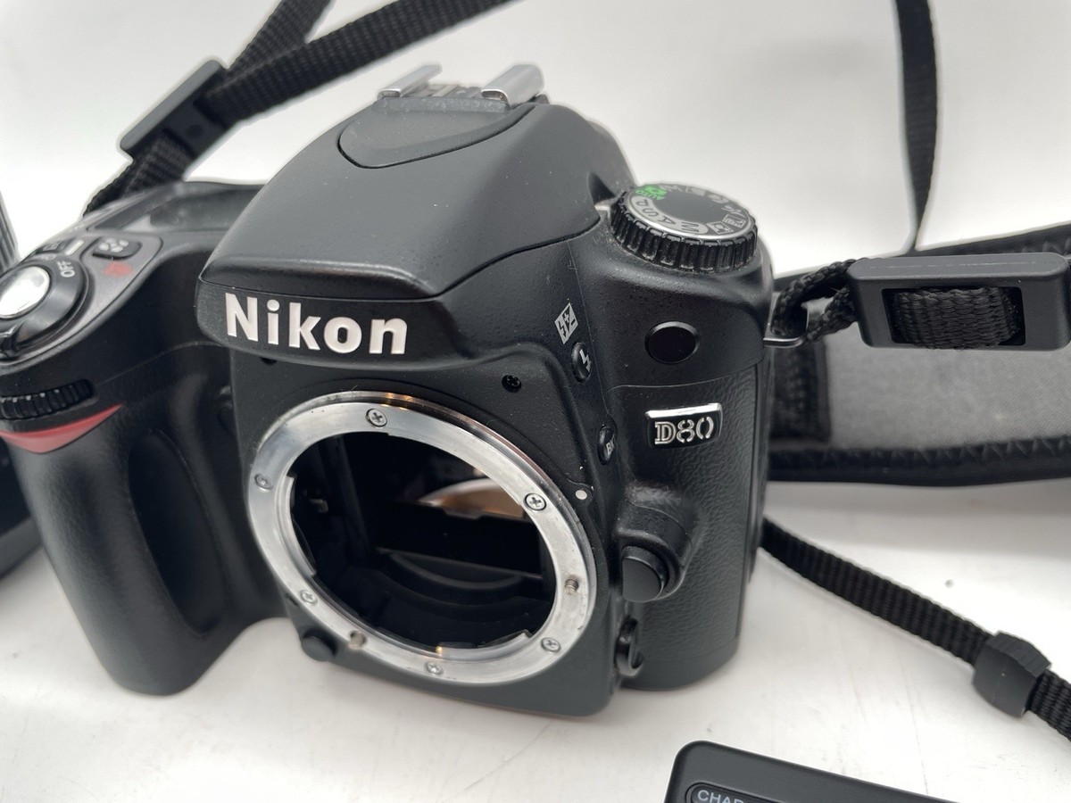 Nikon D80 AF-S NIKKOR 18-200mm F3.5-5.6 G ED ニコン デジタル一眼 