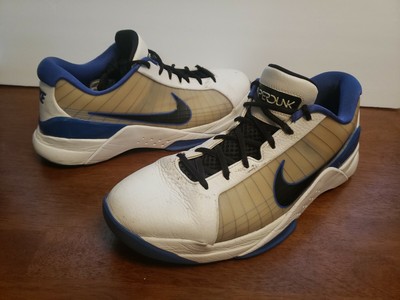 2009 nike hyperdunks