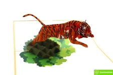 Tiger, Pop Up Card, 3D Popup Greeting Cards for all occasion