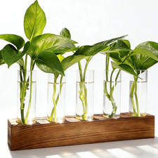 Plant Propagation Station, Plant Terrarium with Wooden Stand, Plants Pots for Hy