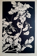 ITO JAKUCHU Poppy Peony Camellia Cricket Vintage Japanese Print