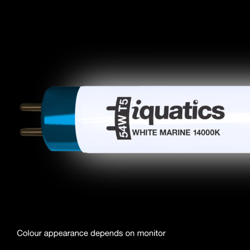 Lâmpada Fluorescente Hopar T5 54w 115cm Branca Para Aquários | Frete grátis Lâmpada Fluorescente Hopar T5 54w 115cm Branca Para Aquários | Frete grátis