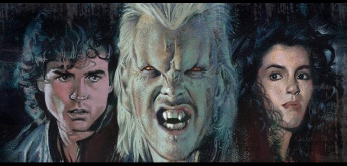 lost in the shadows the story of the lost boys softback book NEW