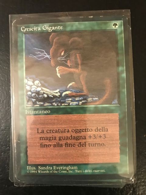 Foto 1 di 1