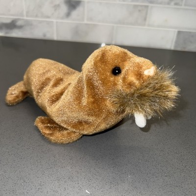 TY Beanie Baby - PAUL the Walrus (7 inch) - MWMT's Stuffed Animal Toy