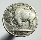 1937 Buffalo Nickel Full Horn -0153