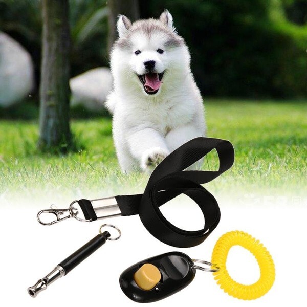 Ultrasonic Dog Training Whistle Pet Training Clicker Free Lanyard Set  Pet Su