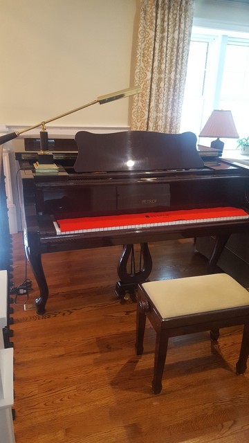 petrof baby grand piano for sale