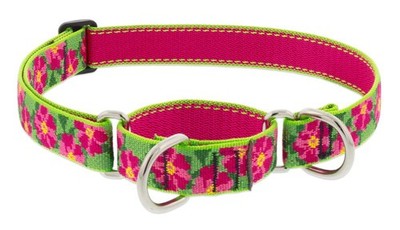 Lupine Martingale Dog Collar 1'' Wide Petunias Adjusts from 19'' to 27''