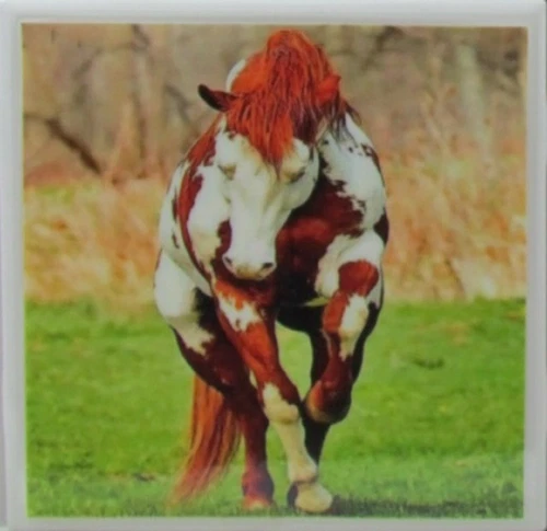 Set of 1 - Ceramic Tile Coaster - Horses (Buy 3 Sets - Get 1 Set Free)  3 B