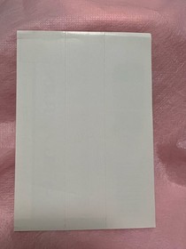 Band Only SS Riglordsaga Sega Saturn