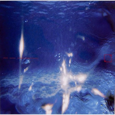 Fabiano Do Nascimento & E Ruscha V / AQUATICOS (LP) / Music From Memory / MFM07