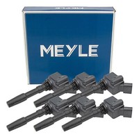 6X Meyle ZüNdspule FüR Audi S4 RS4 B9 S5 RS5 F5 A6 C8 A7 A8 Q5 Q7 Q8 06H905110P