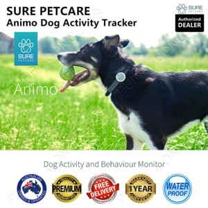 animo activity tracker