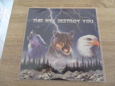 THIS WILL DESTROY vinyl aus Sammlung ST 2lp colored post rock