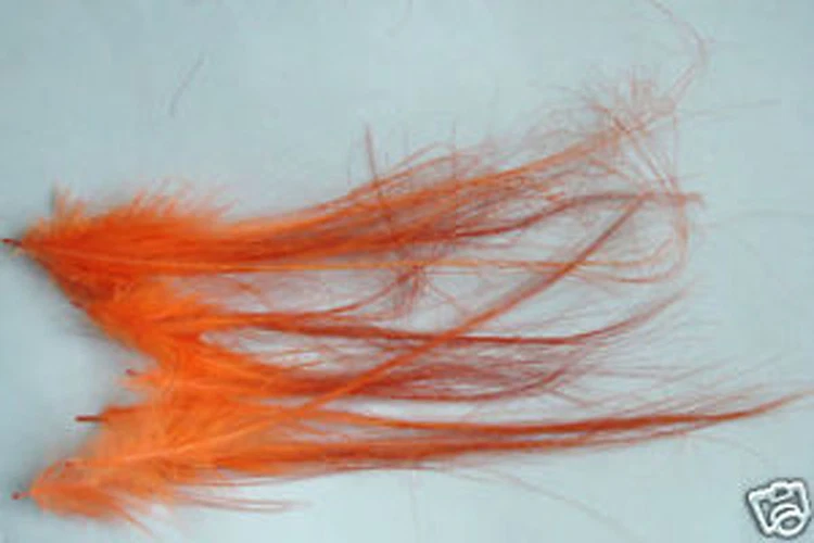 PECHETRUITE 12x SPEY HACKLE Federn Montage ORANGE Lachs Fliege Fliegenbinden Lachs