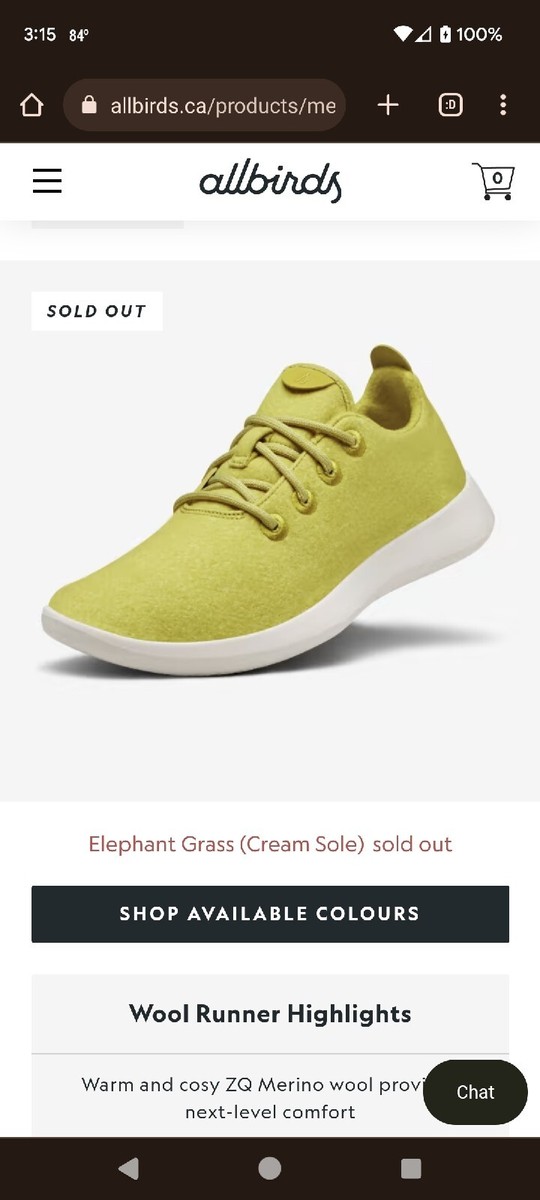 ALLBIRDS Wool Runners Women display picture 1