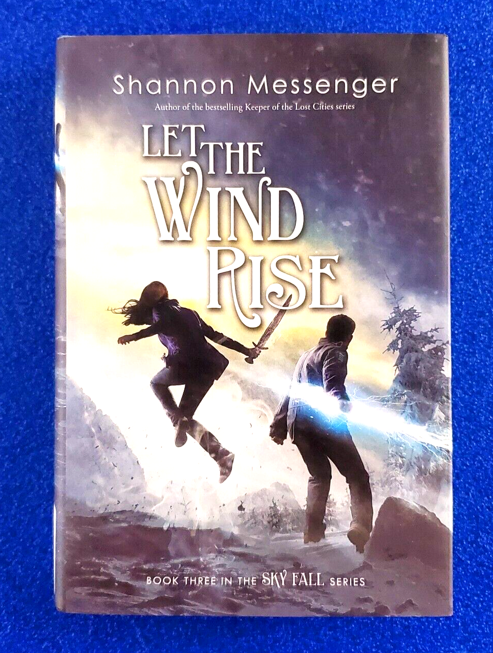LET THE WIND RISE: HARDCOVER SUPERNATURAL FANTASY MAGIC FICTION FREE SHIPPING