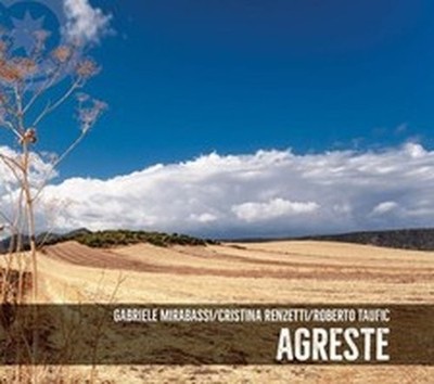 MIRABASSI GABRIELE, RENZETTI CRISTINA, TAUFIC ROBERTO AGRESTE (CD)