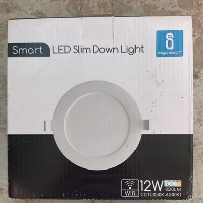 Einbaustrahler LED Alexa,170mm Smart LED Spots 230V Dimmbar mit APP 12W
