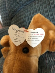 humphrey the camel beanie baby