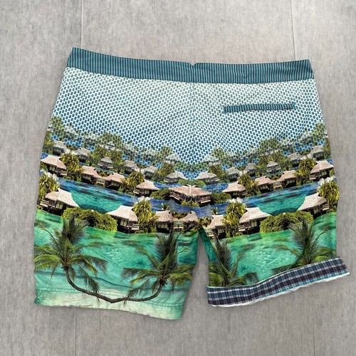 Robert Graham Shorts Adult 42 Multicolor Surf Swim Trunks Board Beach Lined Mens - Picture 2 of 10