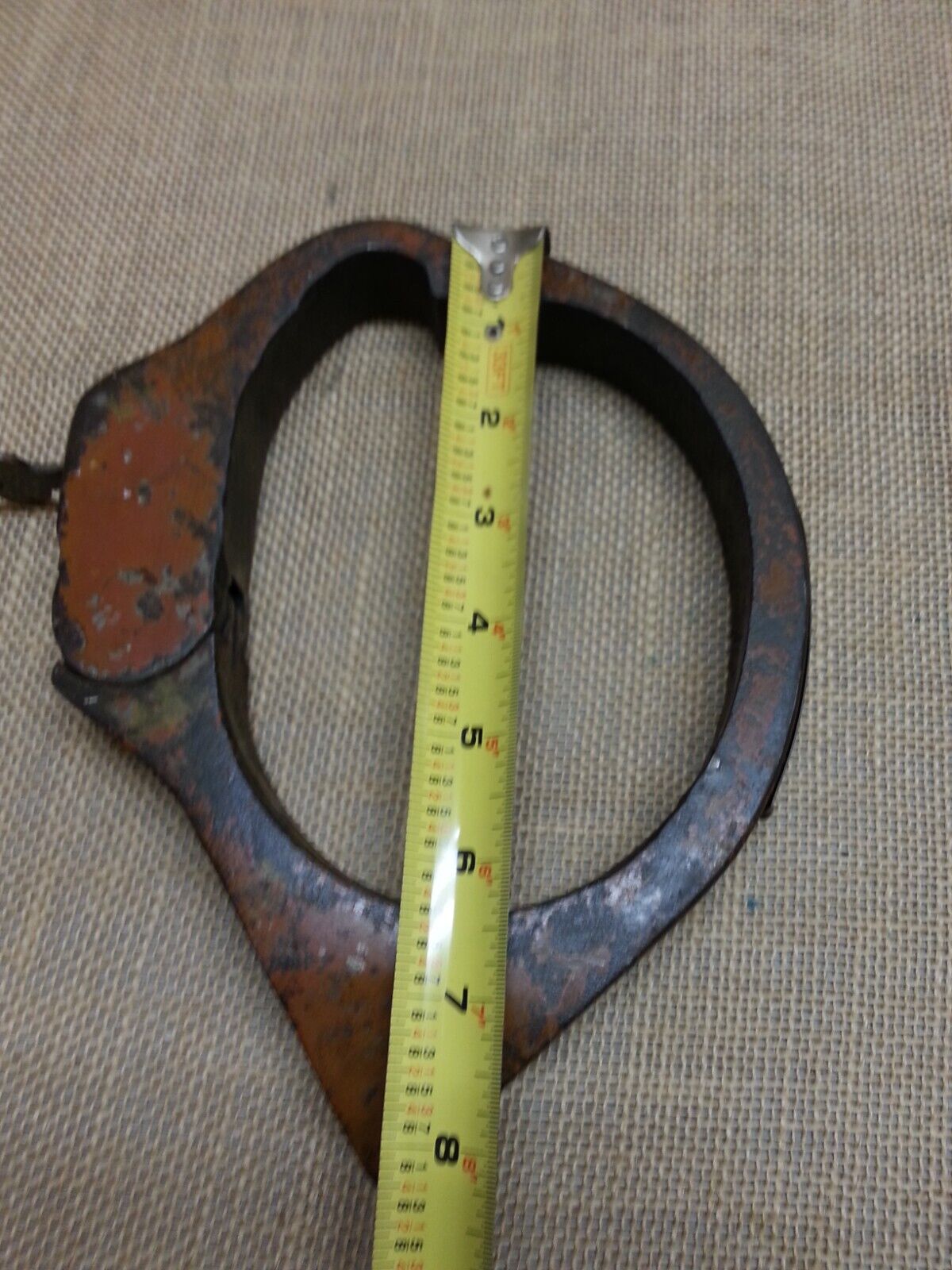Picture 7 of 12