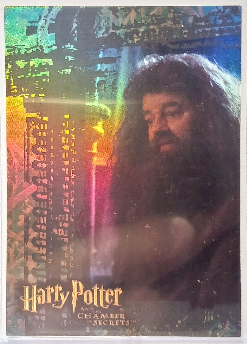 artbox ハリーポッター フィルムカード 2004 レア ルーピン シリウス artbox ハリーポッター フィルムカード 2004 レア ルーピン シリウス