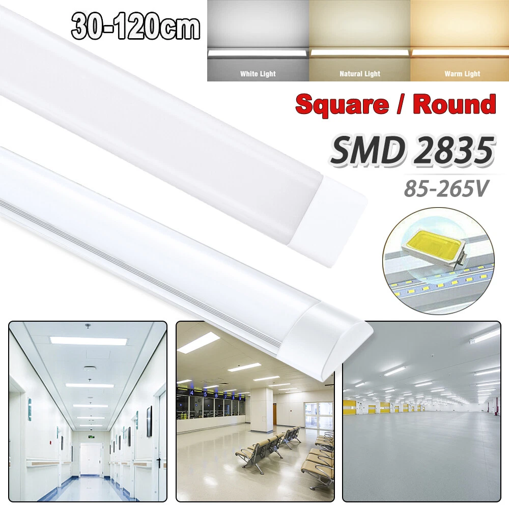 Shed 2024 ceiling light