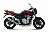 Storm GP Auspuff Passend FüR Suzuki GSF 650 Bandit 2007-2015