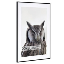 22x28 Metal Picture Frame with 18x24 Mat, Brushed Aluminum Finish, Tempered G...