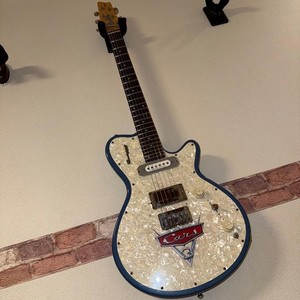 Godin Radiator | eBay
