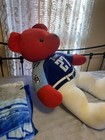 Tennessee Titans Stuffed Bear Price Is Negotiable! Item Is Too Big To Ship — photo 8