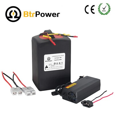 BtrPower 48V 20Ah LiFepo4 Lithium Battery Pack for 1500W Electric Bike Motor BMS