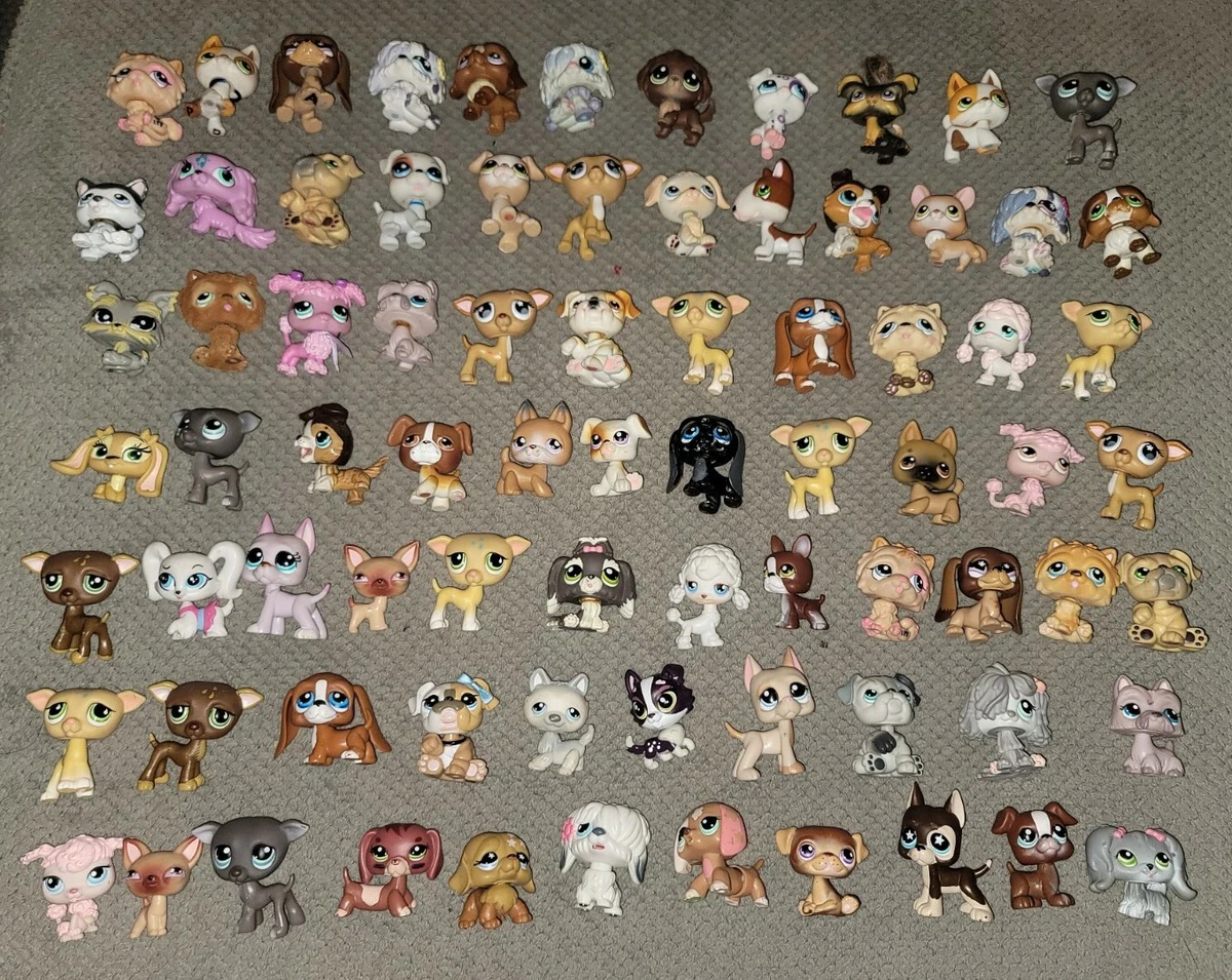 All lps store dogs