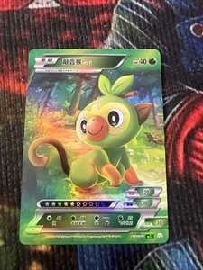 Grookey Pokemon