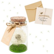 Pusteblume im Glas echte Blume Deko für Frauen und Freundin – Geschenkidee