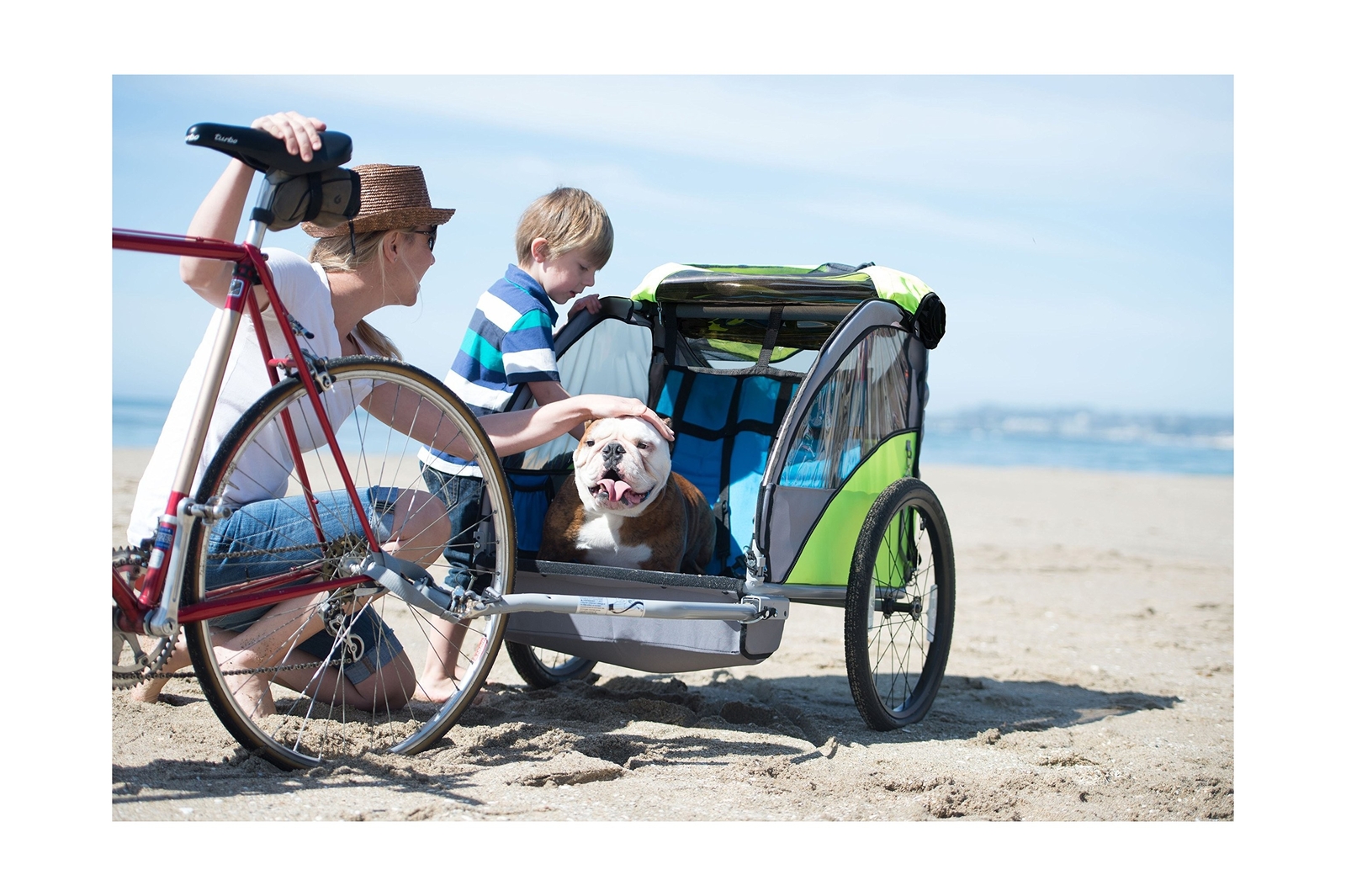 COPILOT Bicycle Trailer & Stroller Conversion Kit Model a eBay