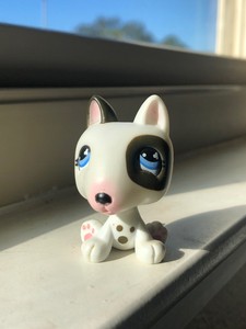 littlest pet shop bull terrier