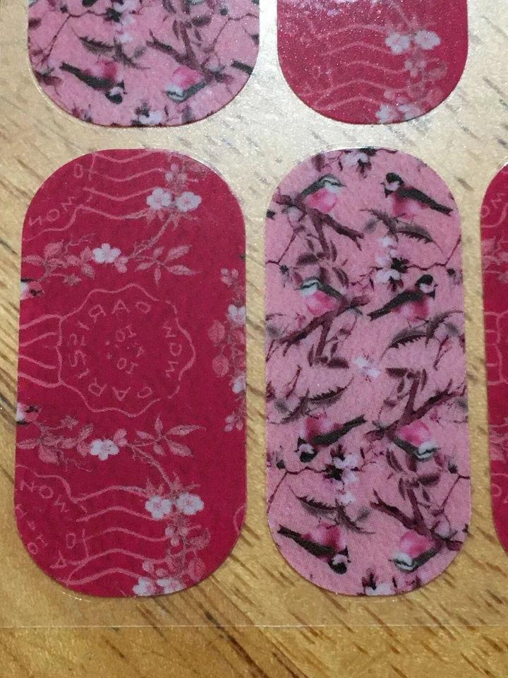 Folha parcial Jamberry NAS Birds of Paris - Imagem 2 de 2