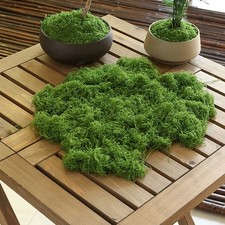 Decorative Grass - 20g Artificial Green Moss for Home Garden - Mini Landscape