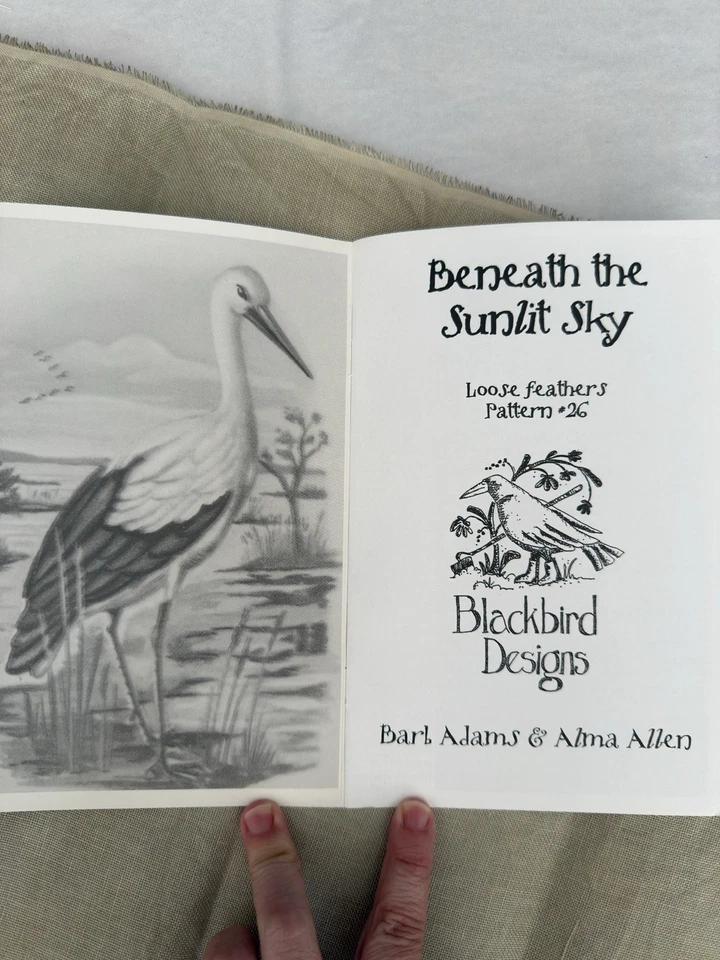 Patrón de punto de cruz Blackbird Designs DEBAJO DEL CIELO ILUMINADO POR EL SOL #26 y tela Foto 3 de 4